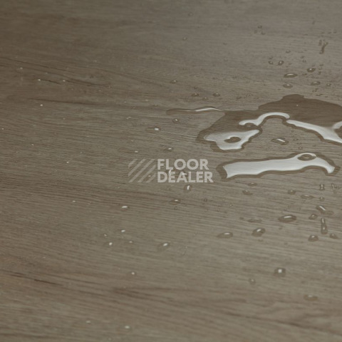 Tarkett Funky House Ricon фото 10 | FLOORDEALER